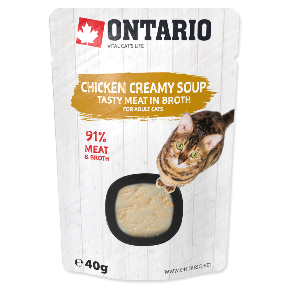 E-shop ONTARIO Polievka kuracia so syrom 40 g