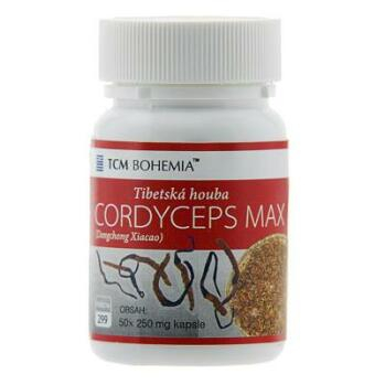 TCM Tibetská huba húsenica čínska (cordyceps max 299) 250mg x 50 kapslí (Cordyceps, húsenica čínska)