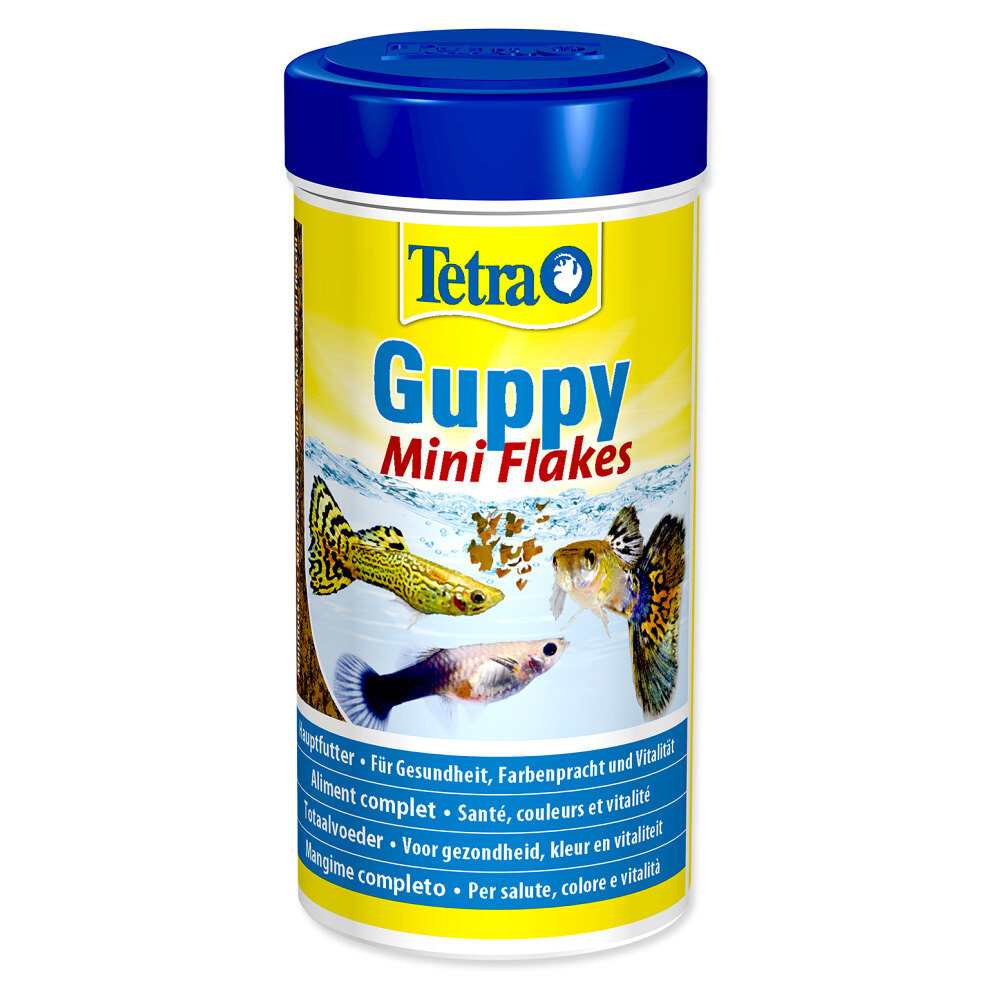 Krmivo Tetra Guppy Food 250ml
