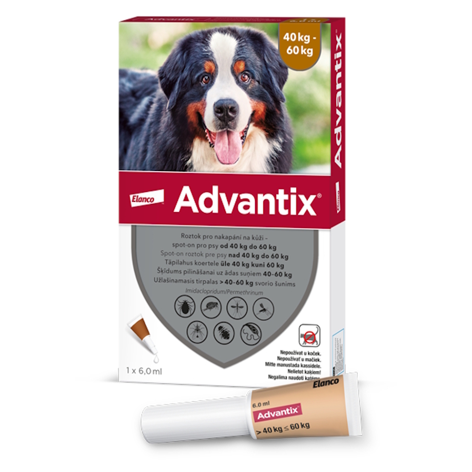 ADVANTIX Spot-on pre psov 40-60 kg 6 ml 1 pipeta