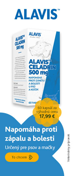 ALAVIS Celadrin 60 tabliet