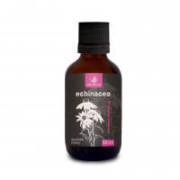 ALLNATURE Echinacea bylinné kvapky 50 ml ALLNATURE Echinacea bylinné kvapky 50 ml