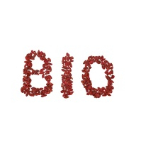ALLNATURE Goji sušené 100 g BIO