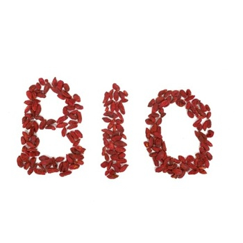 ALLNATURE Goji sušené 100 g BIO
