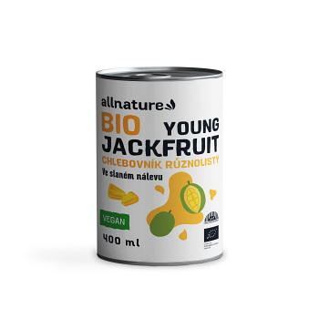 ALLNATURE Jackfruit BIO 400 ml