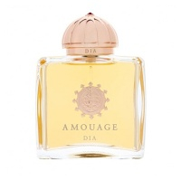 Amouage Dia pour Femme Parfémovaná voda 100ml 