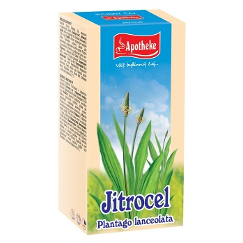 APOTHEKE Skorocel čaj 20x 1,5 g (Bylinné čaje) - Jednodruhové, Bylinné