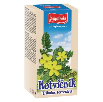 APOTHEKE Kotvičník zemný 20x 1,5 g (Bylinné čaje) - Jednodruhové, Bylinné