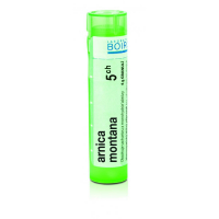 BOIRON Arnica montana CH5 4 g BOIRON Arnica montana CH5 4 g
