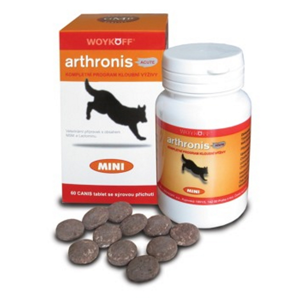 E-shop WOYKOFF Arthronis Acute mini 60 tabliet