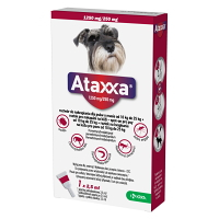ATAXXA 1250 mg/250 mg roztok na kvapkanie na kožu pre psov od 10 kg do 25 kg 1 pipeta