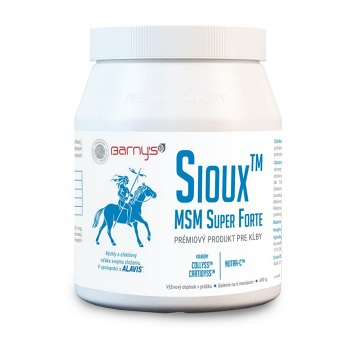 BARNY'S Sioux MSM Super Forte 600 g