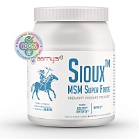 BARNY'S Sioux MSM Super Forte 600 g