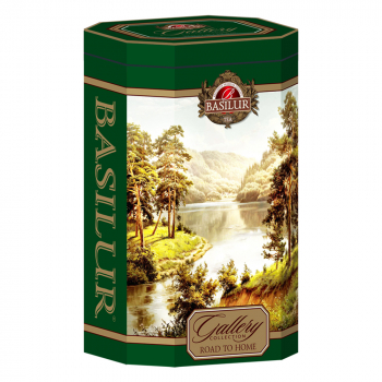 BASILUR Gallery evergreen forest zelený čaj 100 g