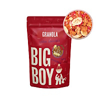 BIG BOY Proteínová granola s bielou čokoládou a ovocím 360 g