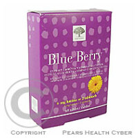 NEW NORDIC Blueberry 60 tabliet
