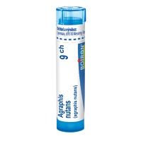 BOIRON Agraphis nutans CH9 4 g