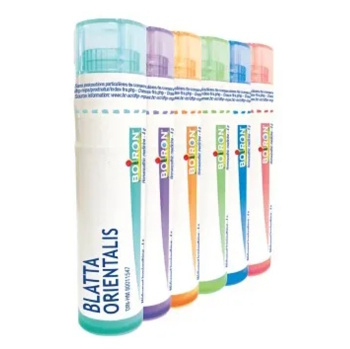 BOIRON Blatta orientalis CH9 4 g (Jednozložkové)