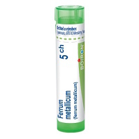 BOIRON Ferrum metallicum CH5 4 g