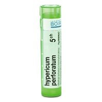 BOIRON Hypericum Perforatum CH5 4 g