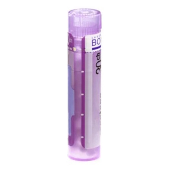 BOIRON Influenzinum CH30 4 g (Monokomponentné homeopatiká)