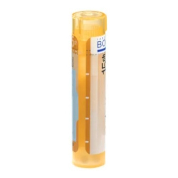 BOIRON Kalium sulfuricum CH15 4 g (Monokomponentné homeopatiká)