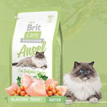 Brit Care Cat Angel I´m Delighted Senior 400g