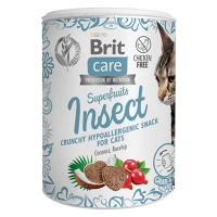 BRIT Care Superfruits Insect maškrta s hmyzom kokosom a šípkom pre mačky 100 g