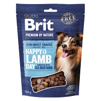 BRIT Premium by Nature SM Snacks Lamb 180 g