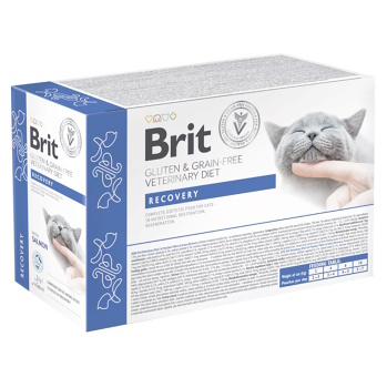 BRIT Veterinary Diét Cat Pouch fillets in Gravy Recovery 12 x 85 g (Diéty na rekonvalescenciu mačiek)
