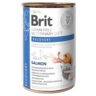 BRIT Veterinary diet grain free recovery pre psov a mačky 400 g