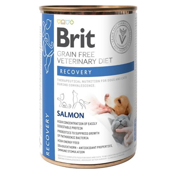 BRIT Veterinary diet grain free recovery pre psov a mačky 400 g