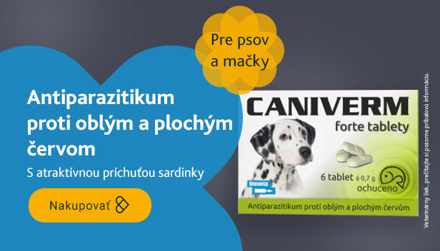 Caniverm