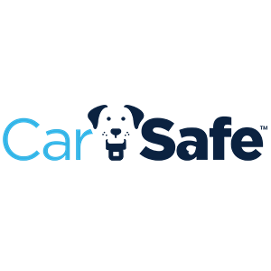 CAR SAFE
