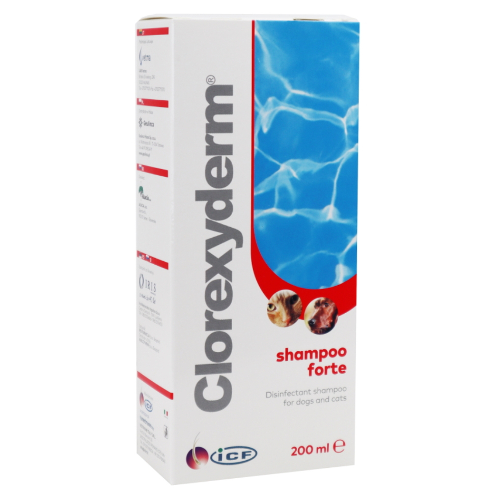 E-shop CLOREXYDERM Forte šampón 200 ml