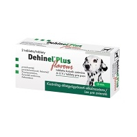 DEHINEL Plus Flavour 2 tablety