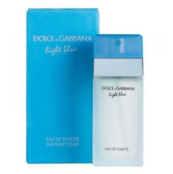 Dolce & Gabbana Light Blue toaletná voda 100 ml
