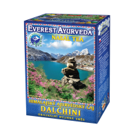 EVEREST AYURVEDA Dalchini dýchacie cesty a nosné dutiny sypaný čaj 100 g EVEREST AYURVEDA Dalchini dýchacie cesty a nosné dutiny sypaný čaj 100 g