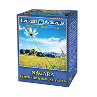 EVEREST AYURVEDA Nagara lymfatický systém a imunita sypaný čaj 100 g