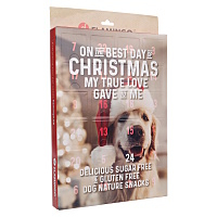 FLAMINGO Adventný kalendár pre psov nature snack 24 kusov