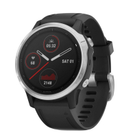 GARMIN Fenix 6 Glass, GPS športové hodinky Silver/Black Band
