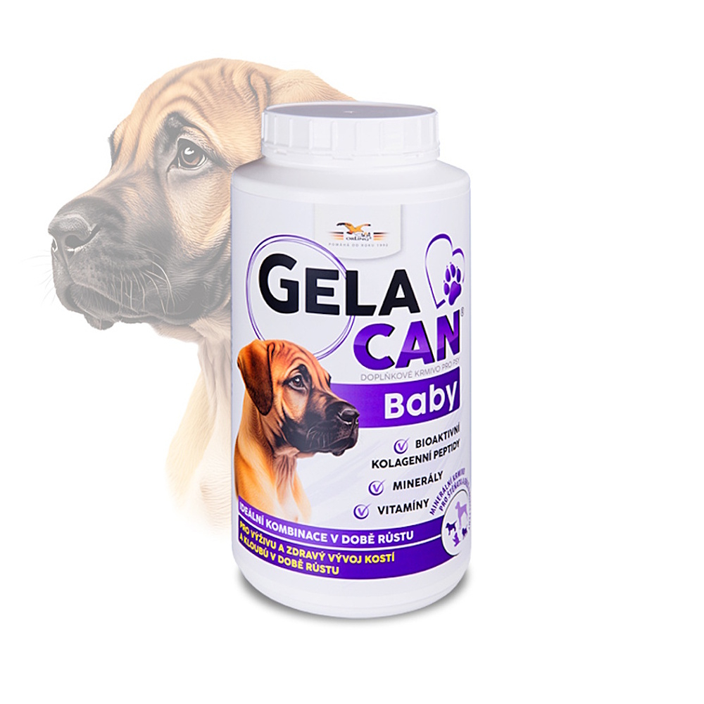 E-shop GELACAN Plus baby 1000 g