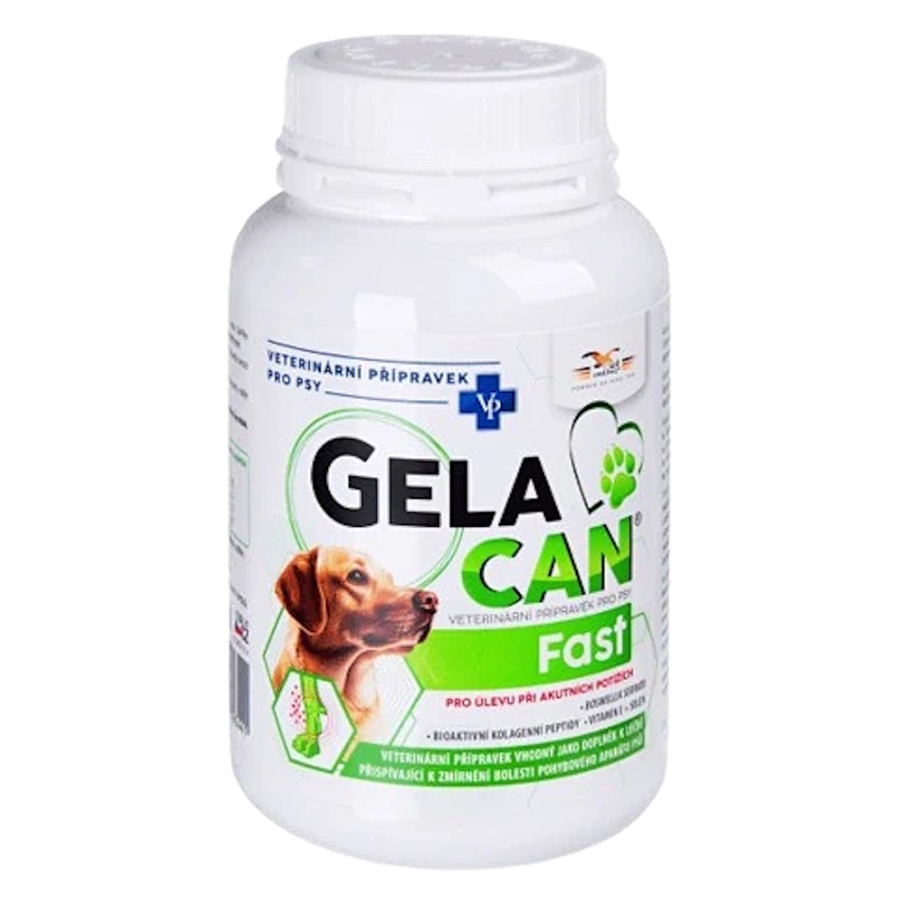 E-shop GELACAN Fast 150 g a.u.v.