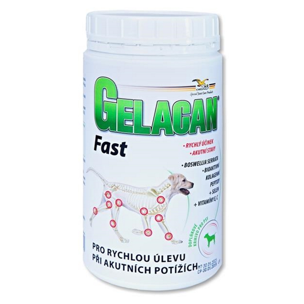 E-shop GELACAN Fast 500 g