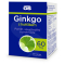 Ginkgo biloba
