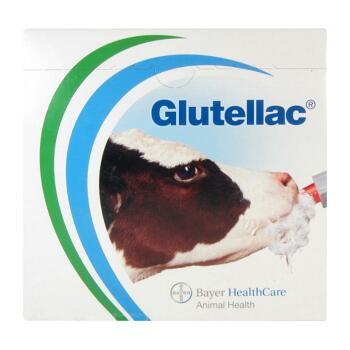Glutellac Calf sol 3x8x50ml
