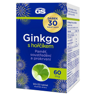 GS Ginkgo 60 mg s horčíkom 90 + 30 tabliet NAVYŠE