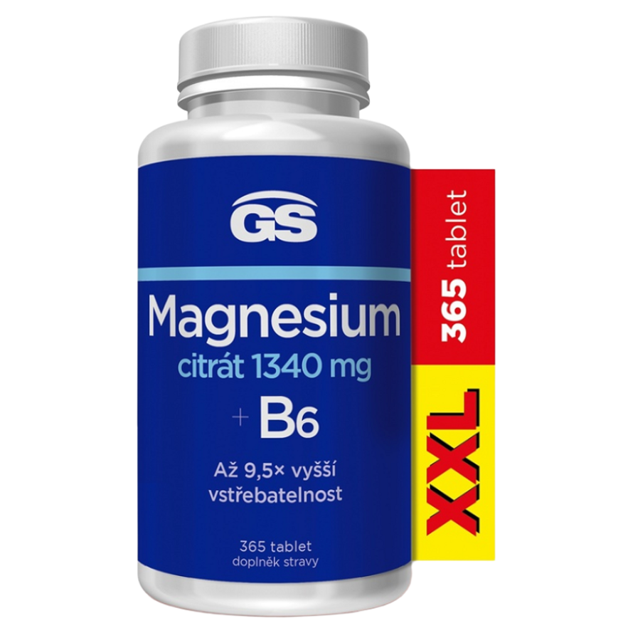 GS Magnesium Citrát + B6 tablety na podporu zníženia únavy a vyčerpania, pre normálny stav zubov, kostí a svalov 365 tbl