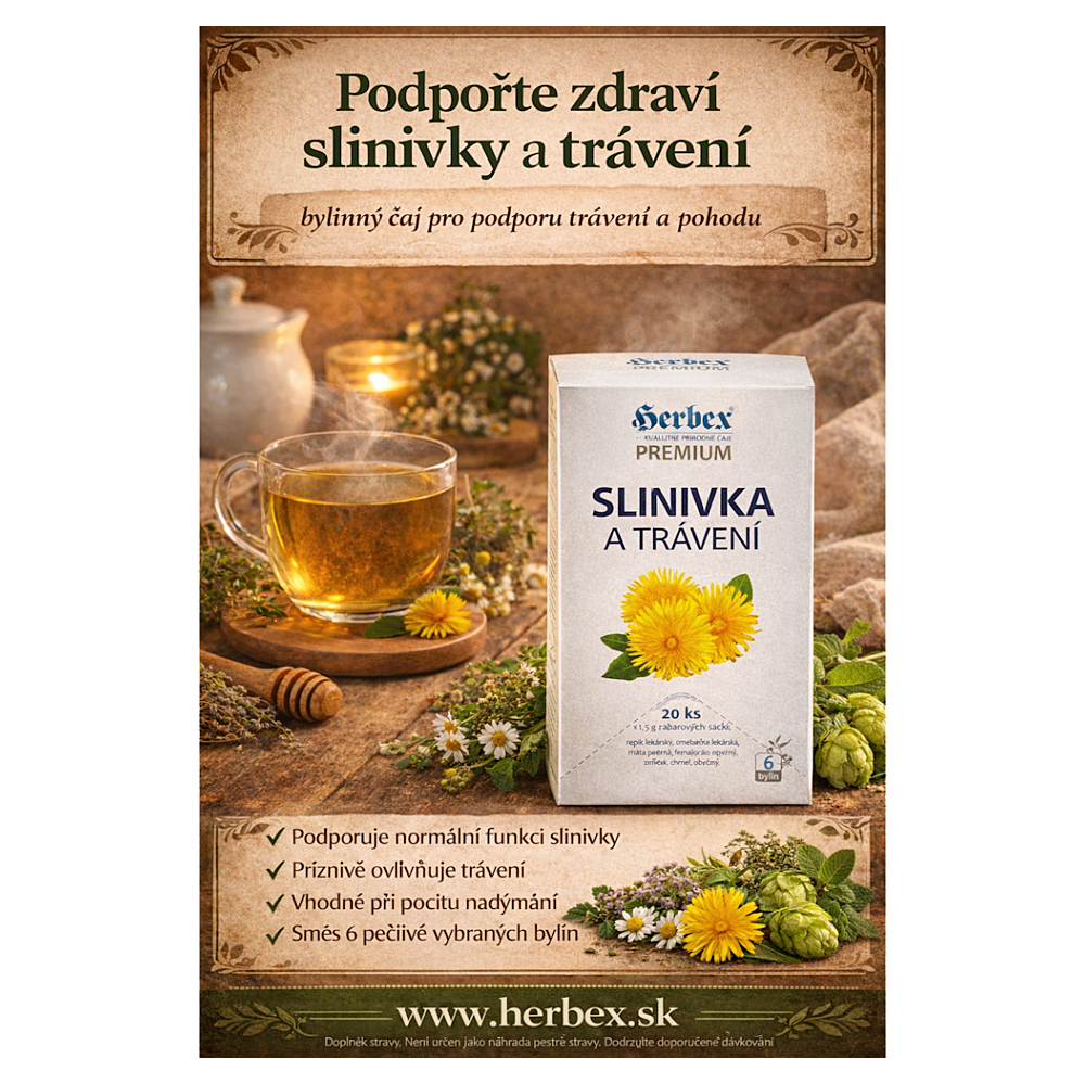 HERBEX PANKREAS A TRÁVENIE bylinný čaj 20x1,5 g