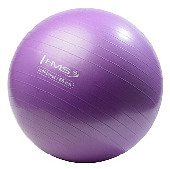 HMS YB02N gymnastická lopta 65 cm fialová (Gymnastické lopty)